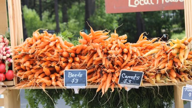 hoot owl carrots