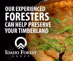 idaho forest group