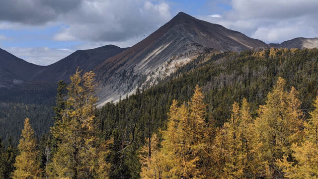 Mountain West Federal Credit Union