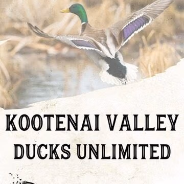 ducks unlimited