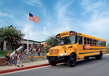 bus