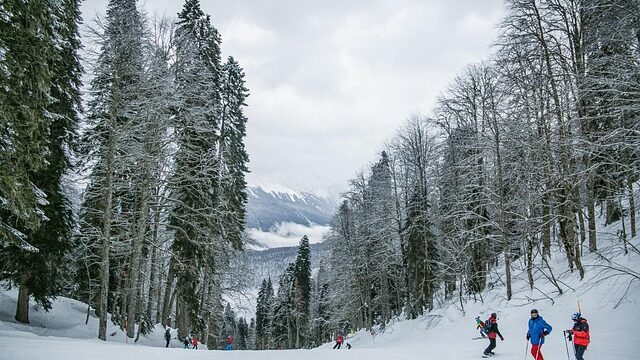 snow-5828736_640-1.jpg