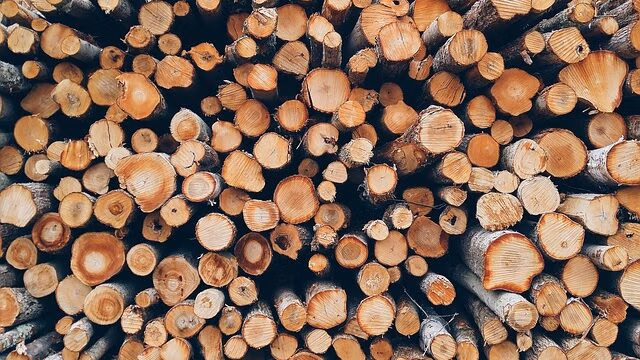 logs