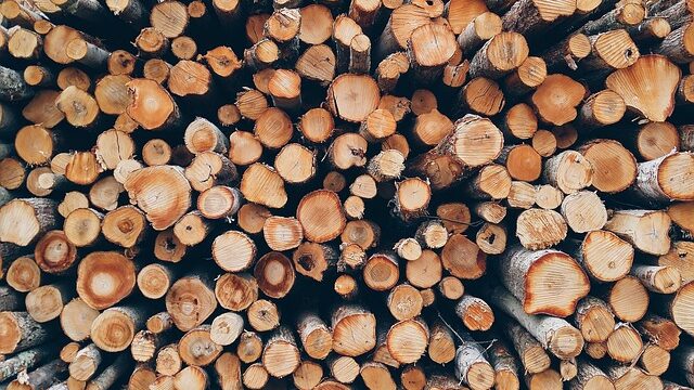 wood-1868104_640-1.jpg