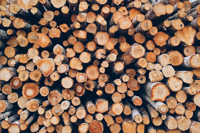 TBC Timber, Inc.
