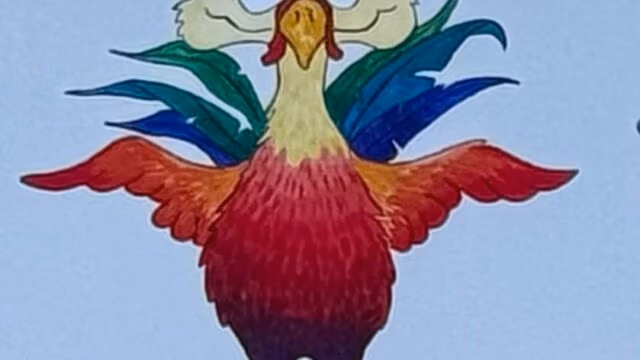 The Dirty Rooster Laundromat