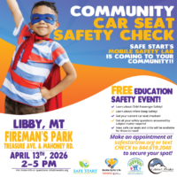 car seat safety check