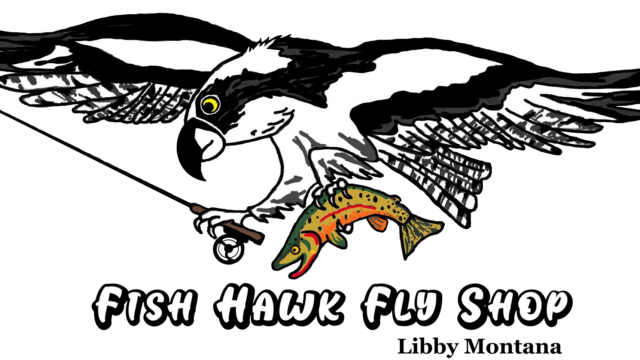fish hawk fly shop