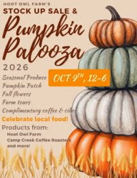 pumpkin palooza